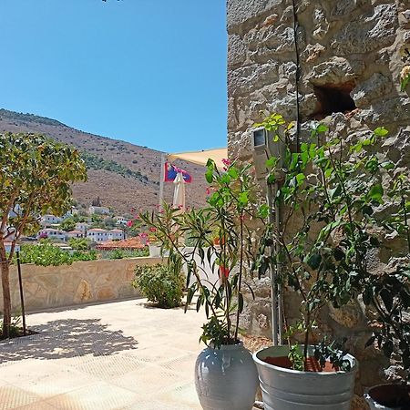Smaragdas Paradise Hydra  Luaran gambar