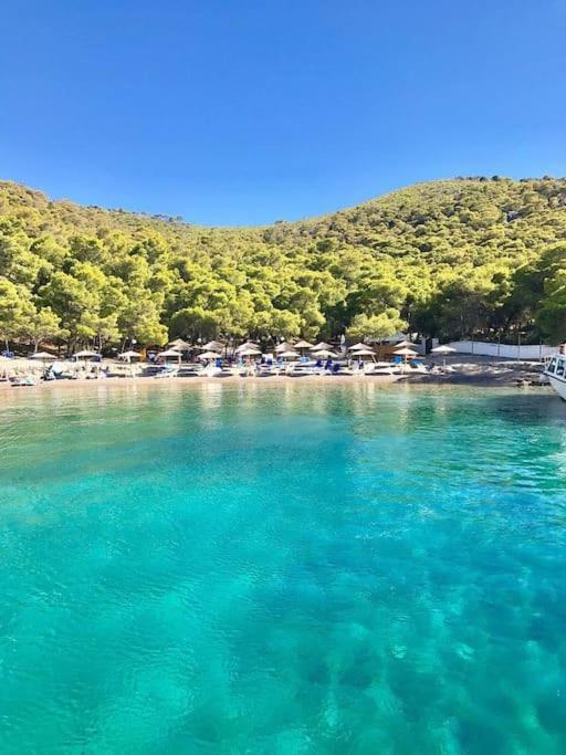 Smaragdas Paradise Hydra  Luaran gambar