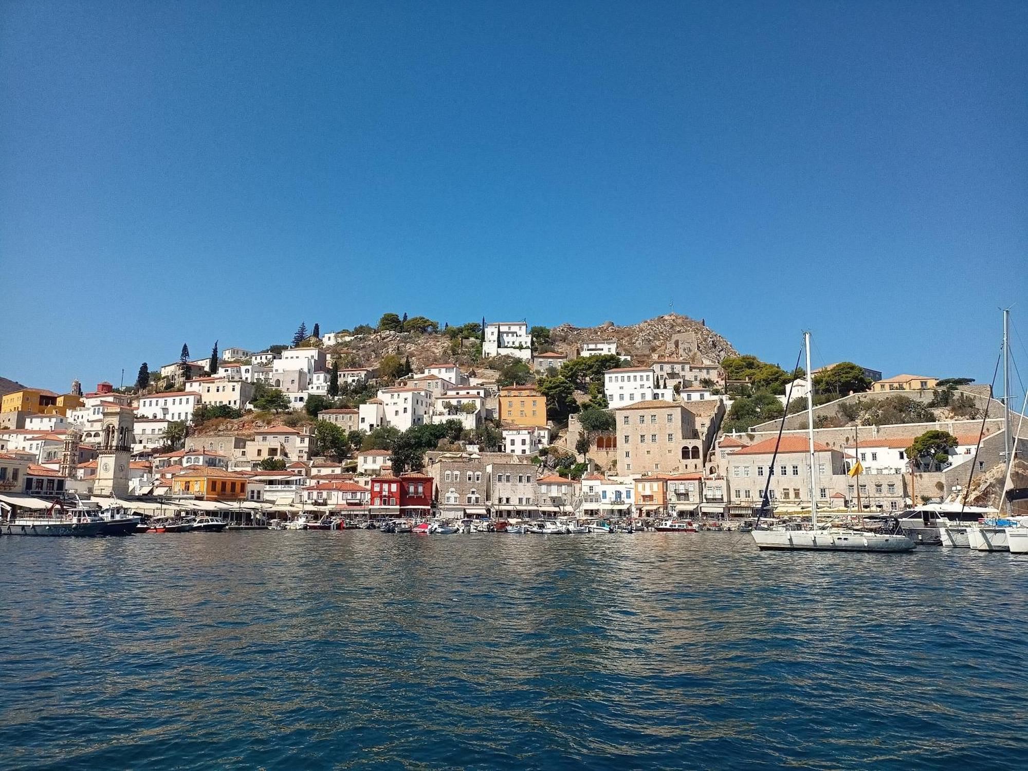 Smaragdas Paradise Hydra  Luaran gambar