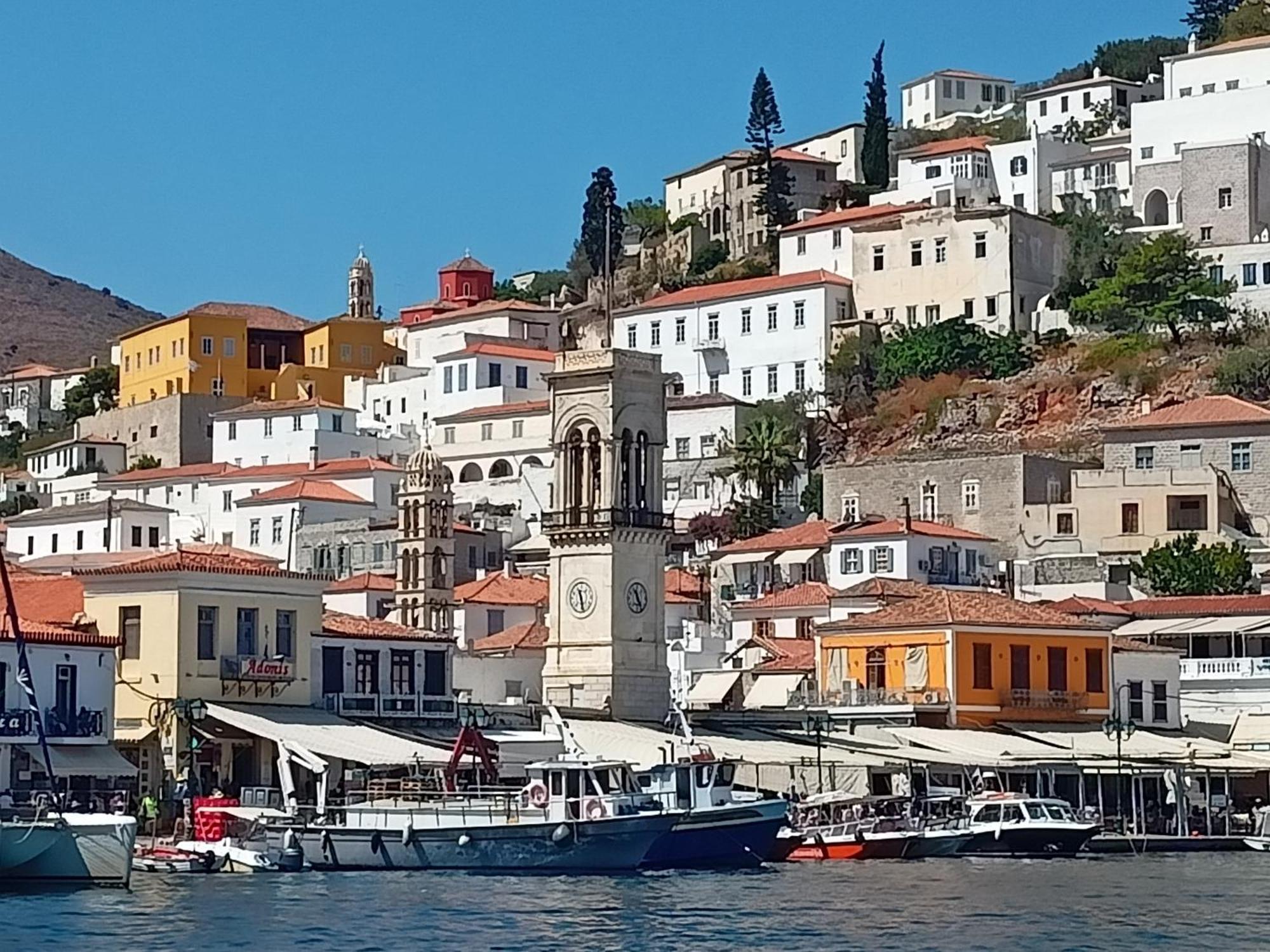 Smaragdas Paradise Hydra  Luaran gambar