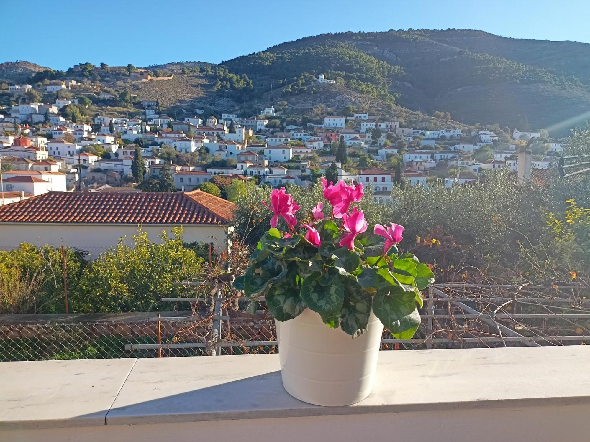 Smaragdas Paradise Hydra  Luaran gambar